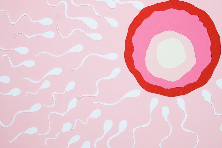 Wie Lange Bleibt Sperma Fruchtbar Erfahre Alles Was Du Wissen Musst 